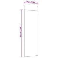 Produktbild för Dörrspegel svart 40x100 cm glas och aluminium