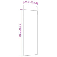 Produktbild för Dörrspegel guld 40x100 cm glas och aluminium