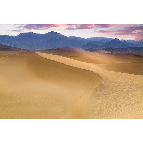 Pelcasa Mesquite flat sand dunes poster
