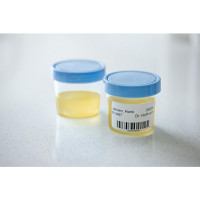 Produktbild för Etikett DYMO LW 57x32mm 1000/fp
