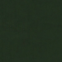 Produktbild för Matstolar 2 st mörkgrön sammet