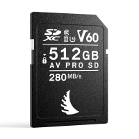 Produktbild för Angelbird SD AV PRO MK2 (V60) 512GB | 1 PACK