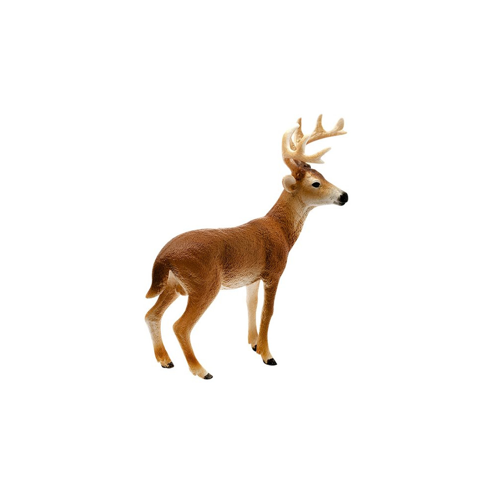 Produktbild för Schleich Wild Life - Vitsvanshjort