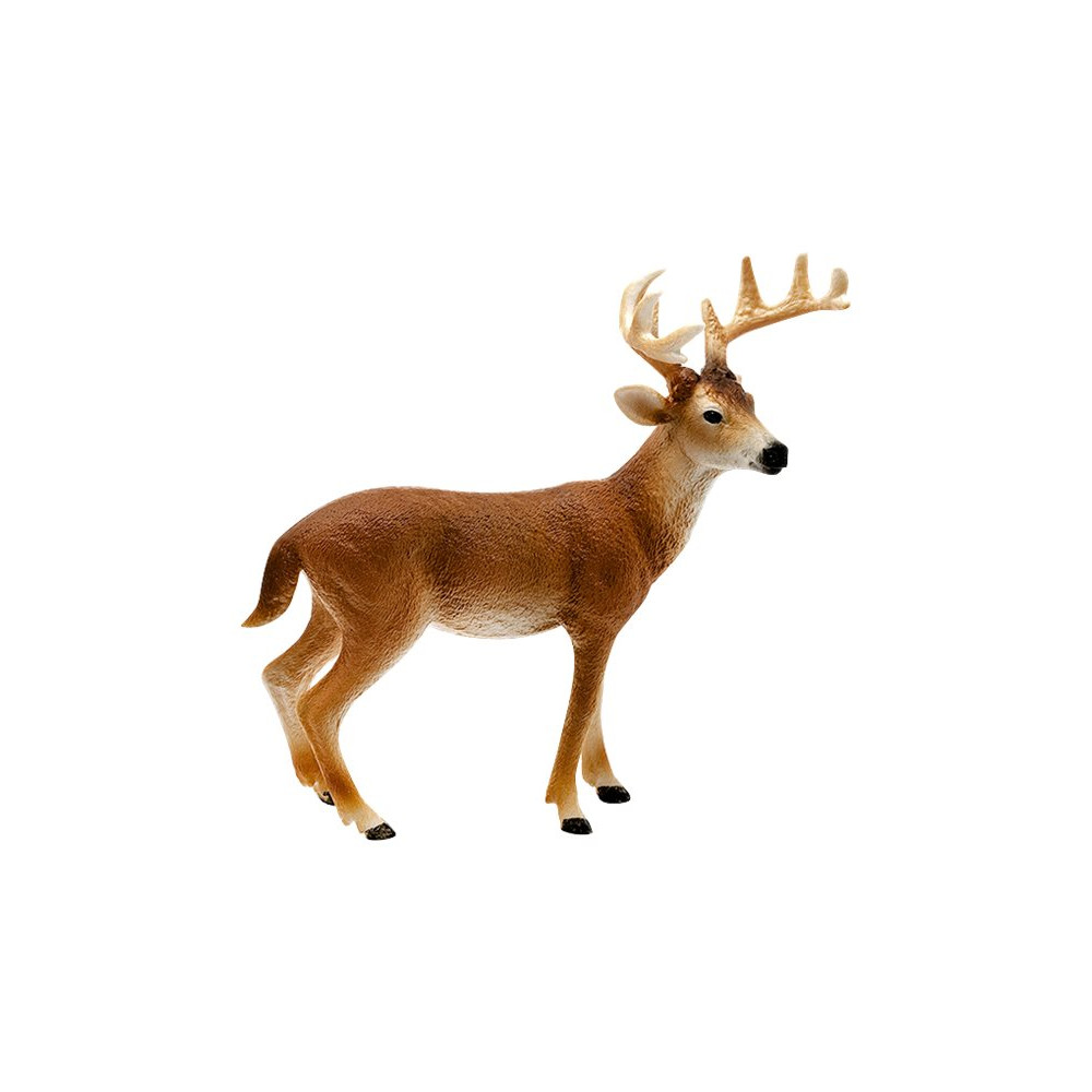 Produktbild för Schleich Wild Life - Vitsvanshjort