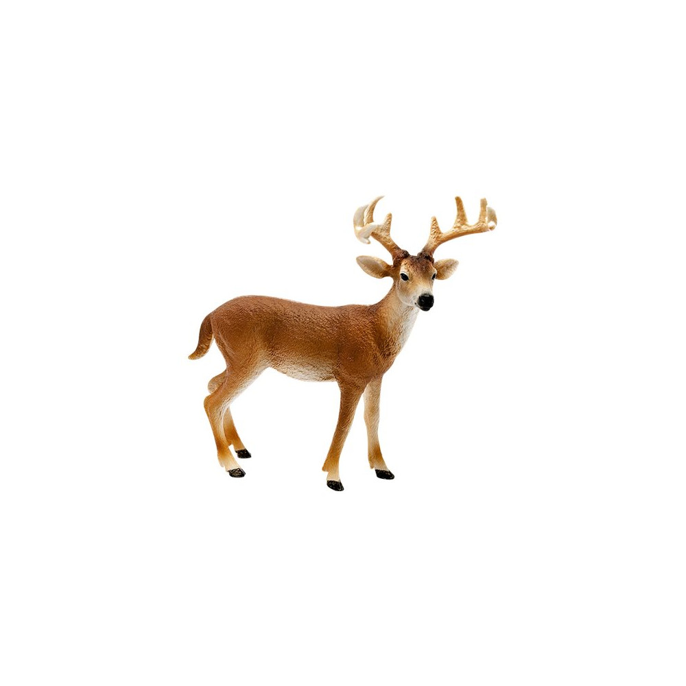 Produktbild för Schleich Wild Life - Vitsvanshjort