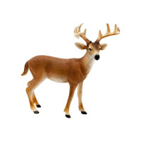 Produktbild för Schleich Wild Life - Vitsvanshjort
