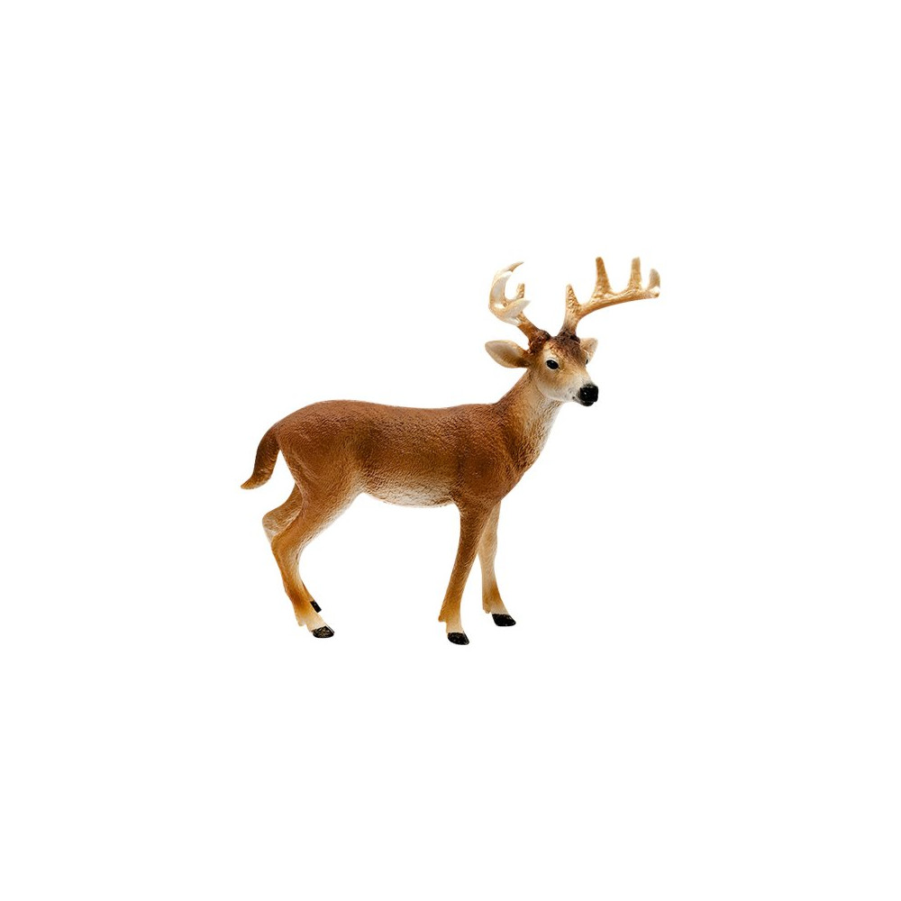 Produktbild för Schleich Wild Life - Vitsvanshjort
