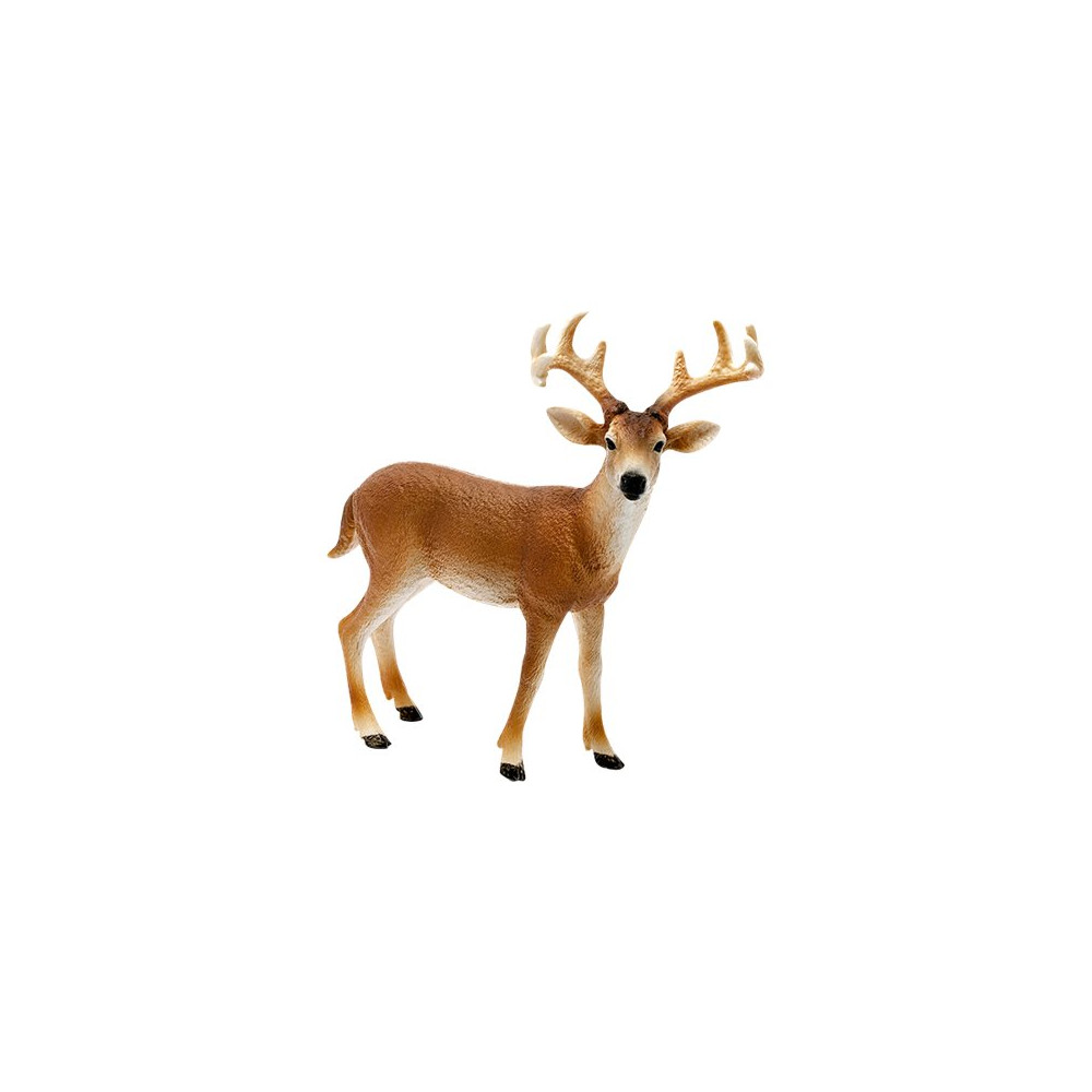Produktbild för Schleich Wild Life - Vitsvanshjort