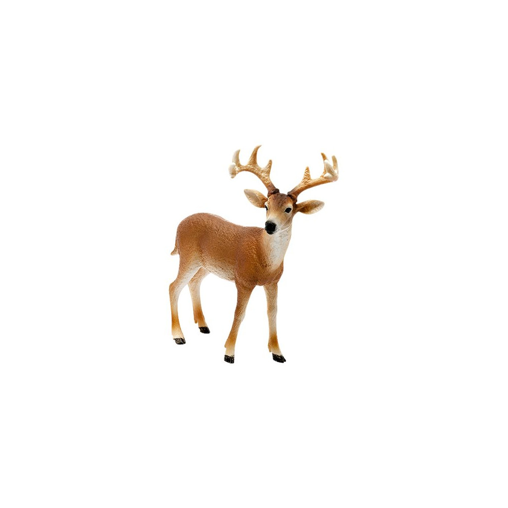 Produktbild för Schleich Wild Life - Vitsvanshjort