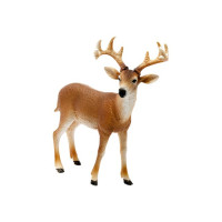 Produktbild för Schleich Wild Life - Vitsvanshjort