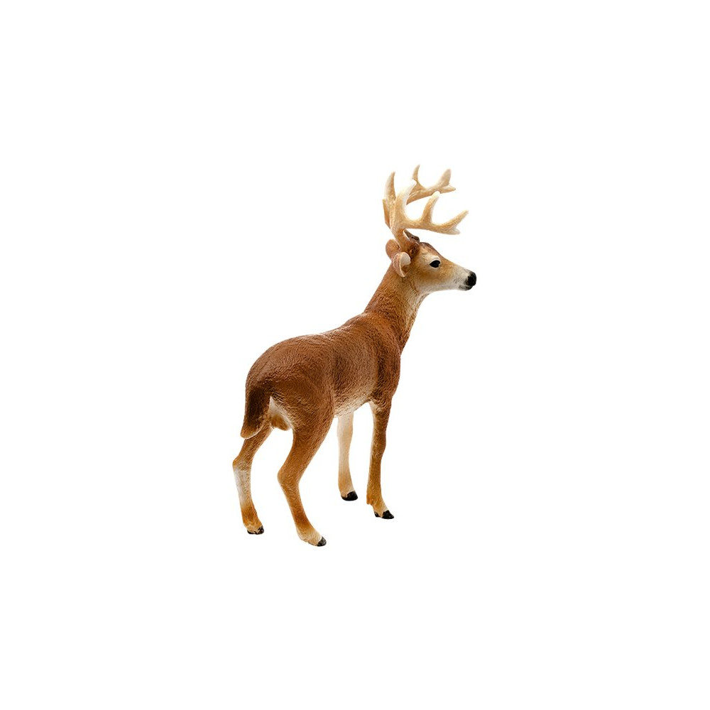 Produktbild för Schleich Wild Life - Vitsvanshjort