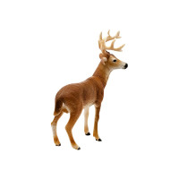 Produktbild för Schleich Wild Life - Vitsvanshjort