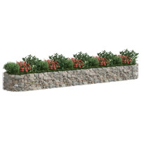 Produktbild för Planteringsgabion galvaniserat järn 500x100x50 cm