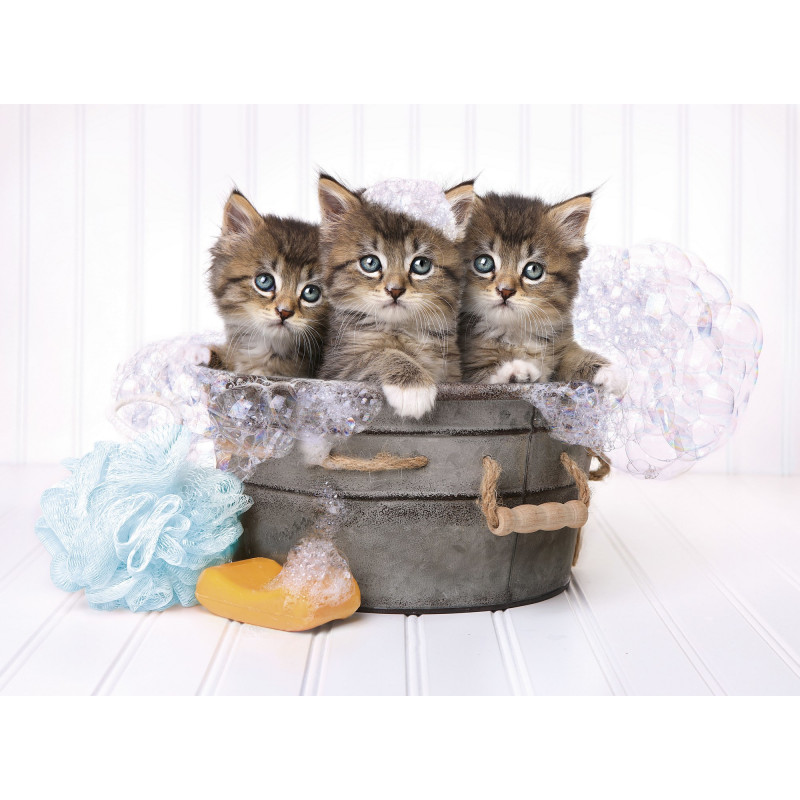 Produktbild för Clementoni Kittens and soap Pussel 500 styck Djur