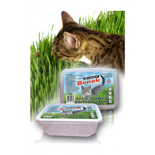 CERTECH Certech 10319 gräsfrö för husdjur Katt