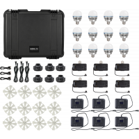 Miniatyr av produktbild för Nanlite PavoBulb 10C 12 light kit