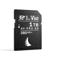 Produktbild för Angelbird SD AV PRO MK2 (V60) 1TB | 1 PACK