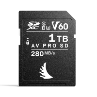 Produktbild för Angelbird SD AV PRO MK2 (V60) 1TB | 1 PACK