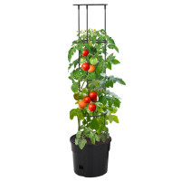 Produktbild för Kruka för tomatplanta Ø29,5x115 cm polypropylen