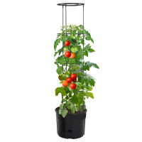 Produktbild för Kruka för tomatplanta Ø39x150 cm polypropylen