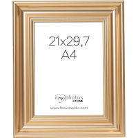 Produktbild för Focus Charleston Gold 21x29,7 (A4)
