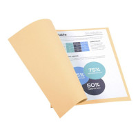 Produktbild för Mapp EXACOMPTA utan klaff A4 beige