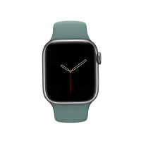 Miniatyr av produktbild för Apple watch band - Grönt