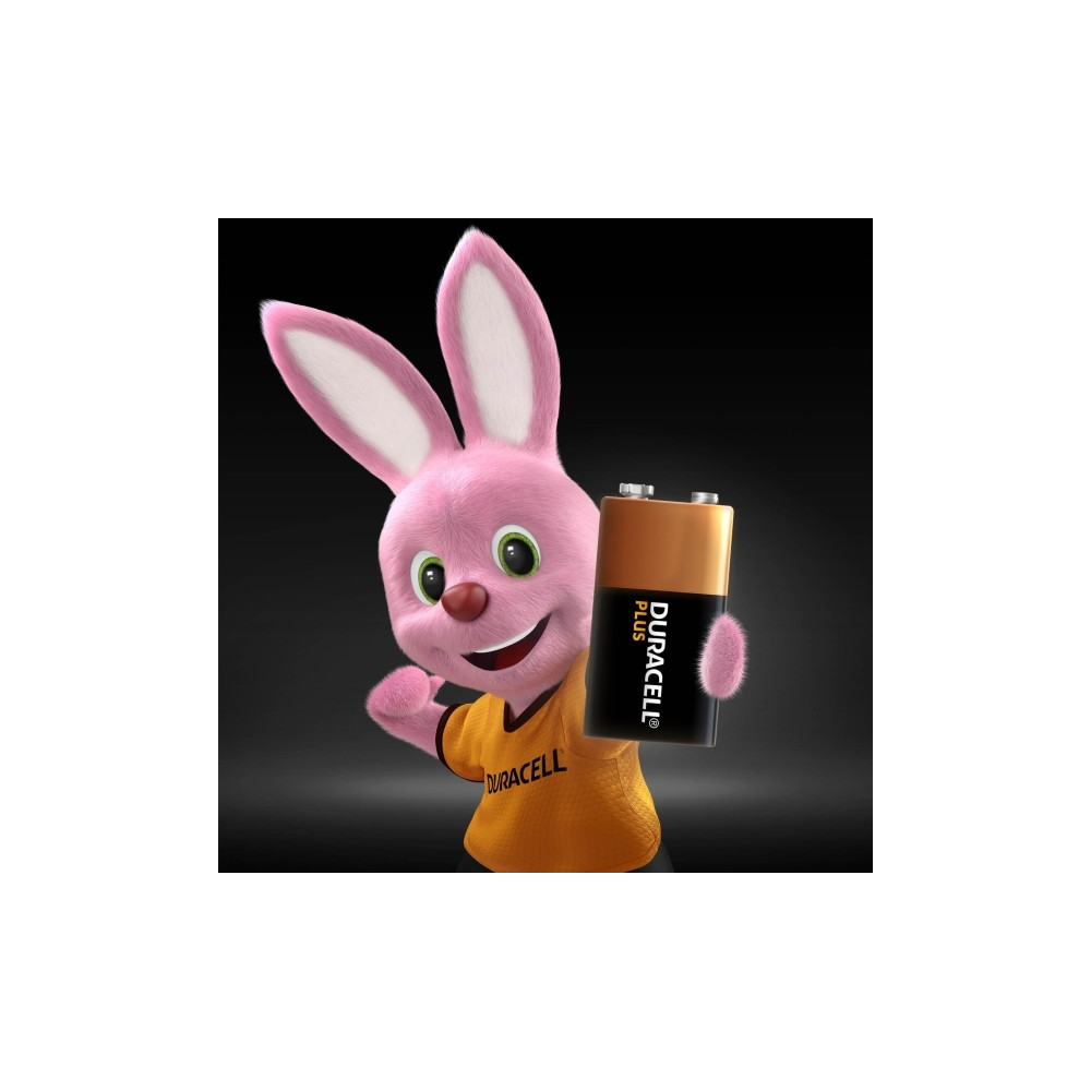 Produktbild för Duracell Plus