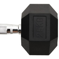 Produktbild för Hantel 25 kg gjutjärn