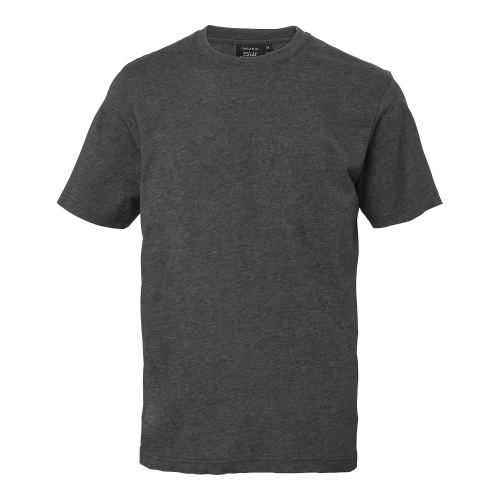 South West Kings T-shirt Grey Unisex