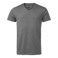 Miniatyr av produktbild för Frisco T-shirt Grey Male