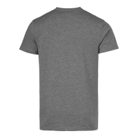 Produktbild för Frisco T-shirt Grey Male
