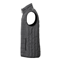 Produktbild för Ames Vest Grey Male