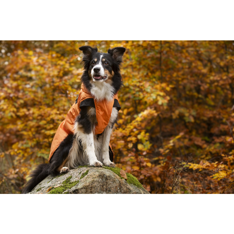 Produktbild för Dogman Vintertäcke Pom Orange 25cm