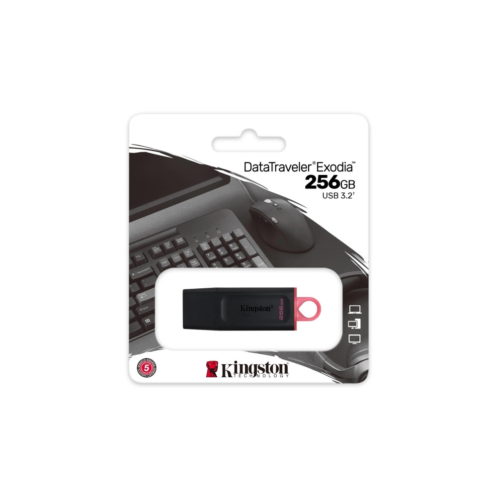 Produktbild för Kingston DataTraveler Exodia - USB flash-enhet - 256 GB