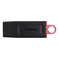 Produktbild för Kingston DataTraveler Exodia - USB flash-enhet - 256 GB