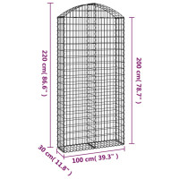 Produktbild för Gabion bågformad 100x30x200/220 cm galvaniserat järn