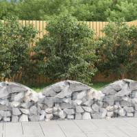 Produktbild för Gabion bågformad 100x30x40/60 cm galvaniserat järn