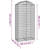 Produktbild för Gabion bågformad 100x50x200/220 cm galvaniserat järn