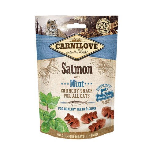 Carni Love CARNILOVE Salmon with Mint torrfoder till katt 50 g Vuxen Lax