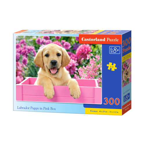 CASTORLAND Castorland Labrador Puppy in Pink Box 300 pcs Pussel 300 styck Djurliv