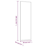 Produktbild för Väggspegel 30x100 cm glas rektangulär