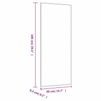 Produktbild för Väggspegel 40x100 cm glas rektangulär