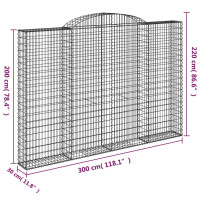 Produktbild för Gabion bågformad 300x30x200/220 cm galvaniserat järn