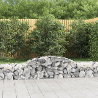 Produktbild för Gabion bågformad 300x50x40/60 cm galvaniserat järn