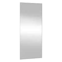 Produktbild för Väggspegel 30x80 cm glas rektangulär