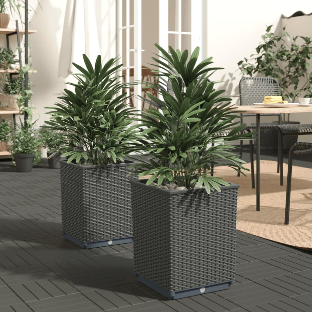 Produktbild för Odlingslådor 2 st svart 30x30x37 cm polypropylen