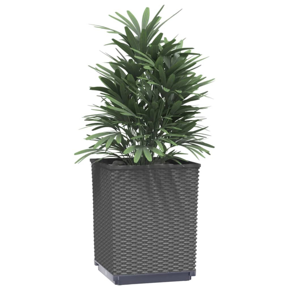 Produktbild för Odlingslådor 2 st svart 30x30x37 cm polypropylen
