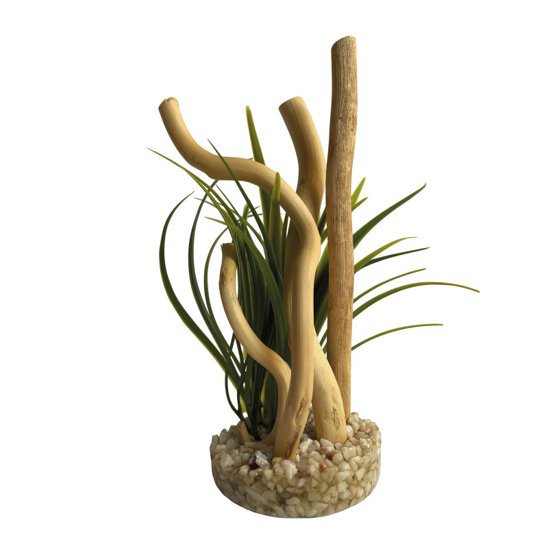 Produktbild för Akvariedeko Aqua Branch Plant Sydeco 16 cm
