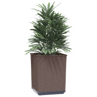 Produktbild för Odlingslådor 4 st brun 30x30x37 cm polypropylen